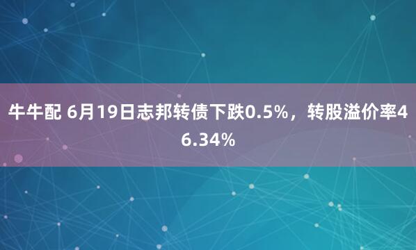 牛牛配 6月19日志邦转债下跌0.5%,转股溢价率46.34%