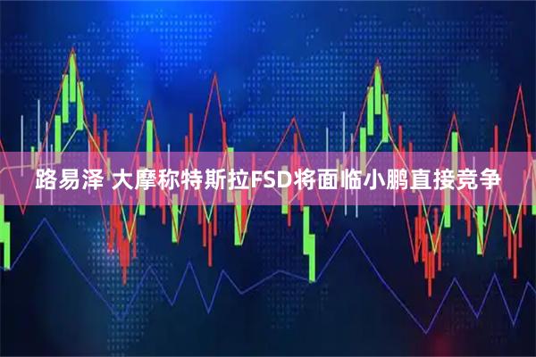 路易泽 大摩称特斯拉FSD将面临小鹏直接竞争