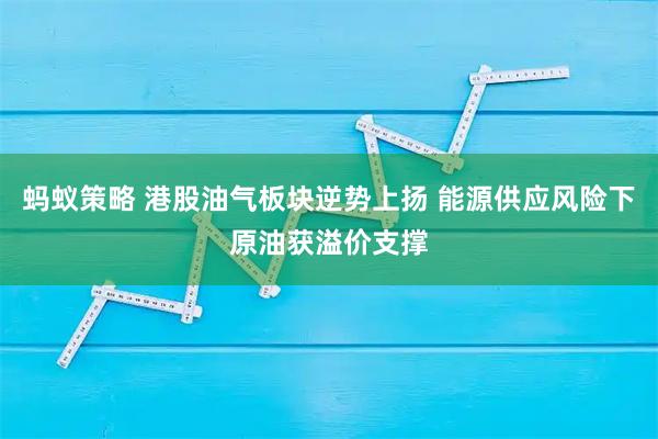 蚂蚁策略 港股油气板块逆势上扬 能源供应风险下原油获溢价支撑