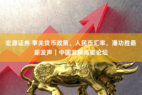 宏源证券 事关货币政策、人民币汇率，潘功胜最新发声｜中国发展高层论坛